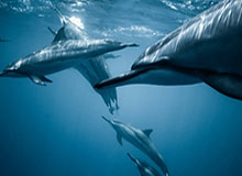 《银河战士Prime 4:超越》8条新手技巧:让你拥有ESP般绝佳开局